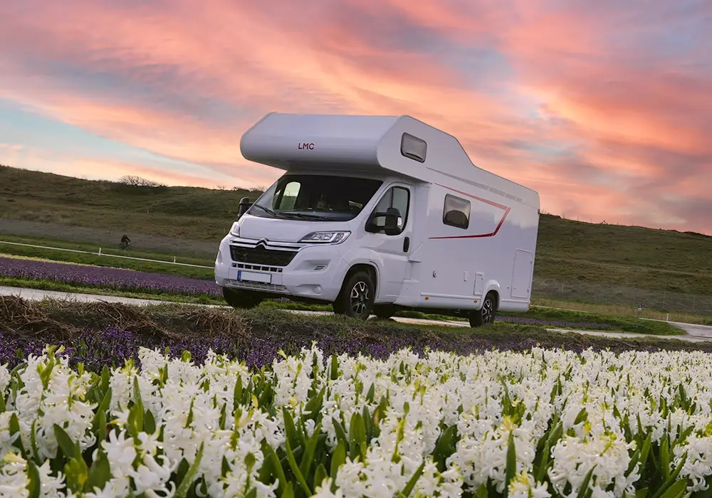 Vermietung von Wohnmobilen – Blumen im Abendlicht